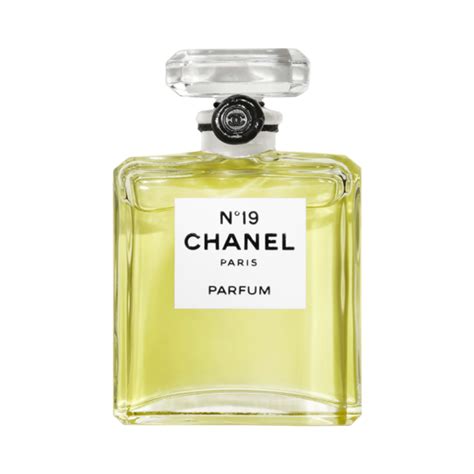 chanel 19 perfume debenhams|is Chanel 19 discontinued.